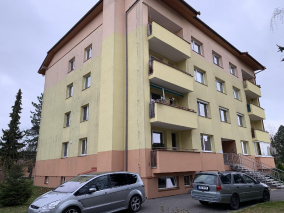 Před čištěním